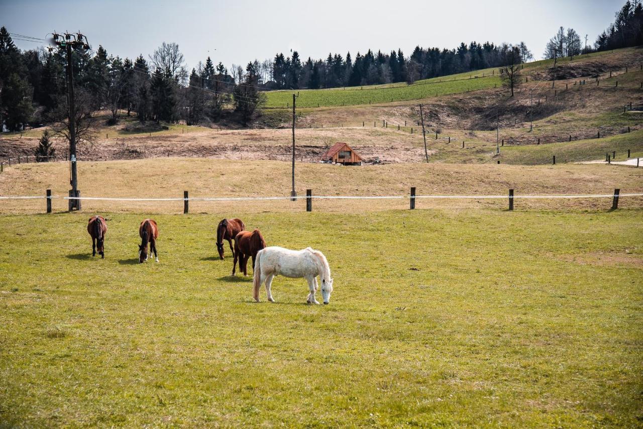 Farm Stay Ana Visnja Gora Exterior foto