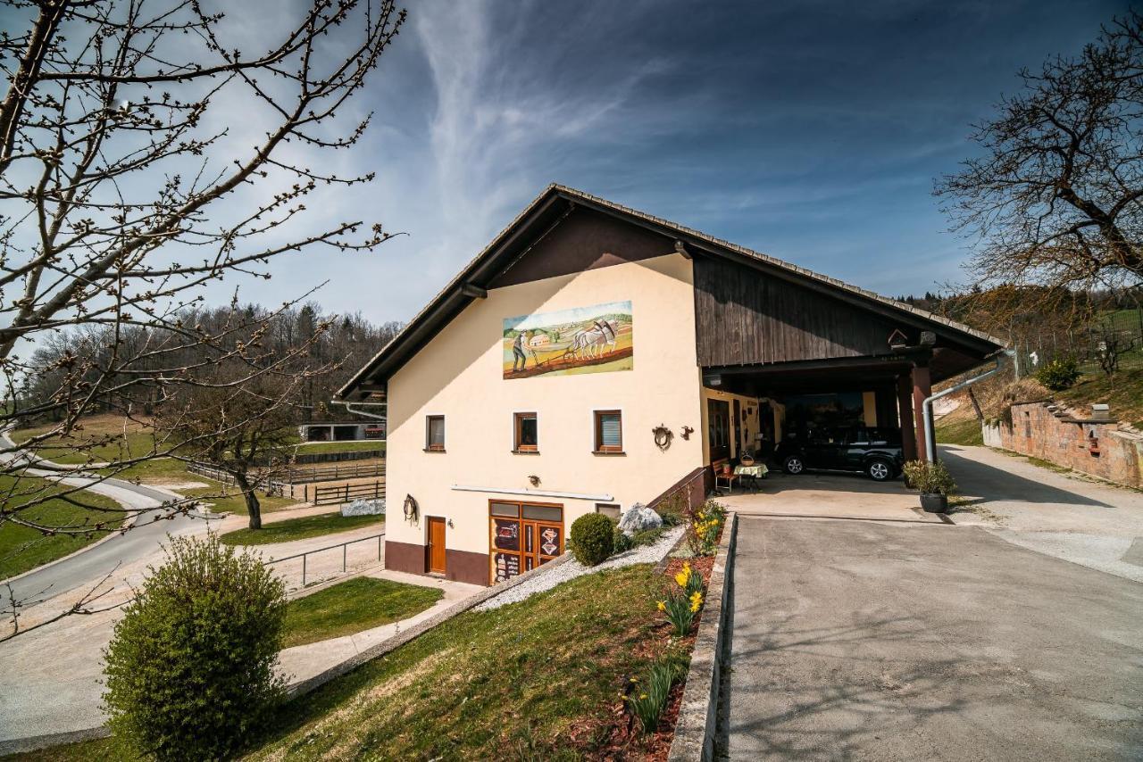 Farm Stay Ana Visnja Gora Exterior foto