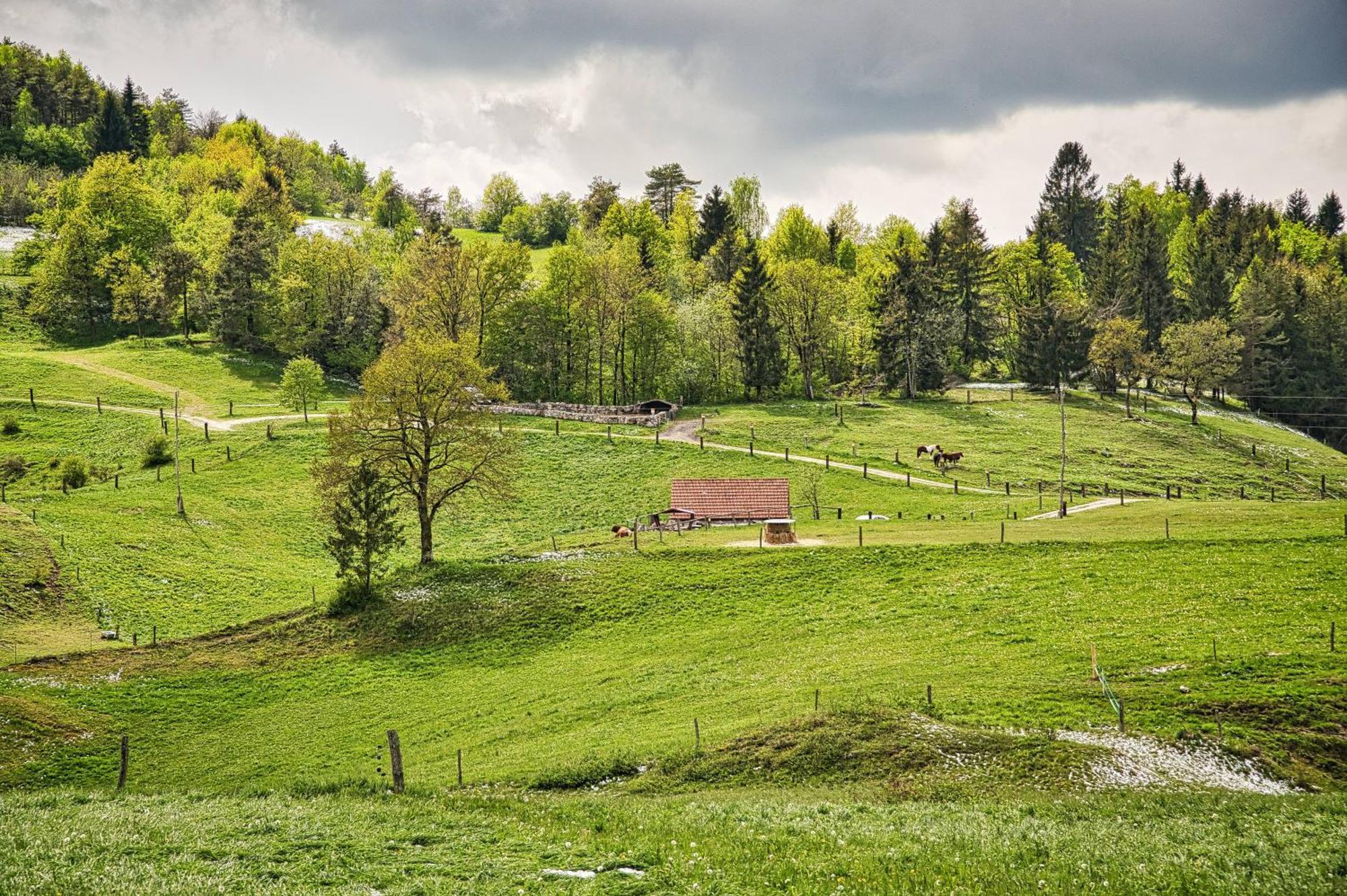 Farm Stay Ana Visnja Gora Exterior foto