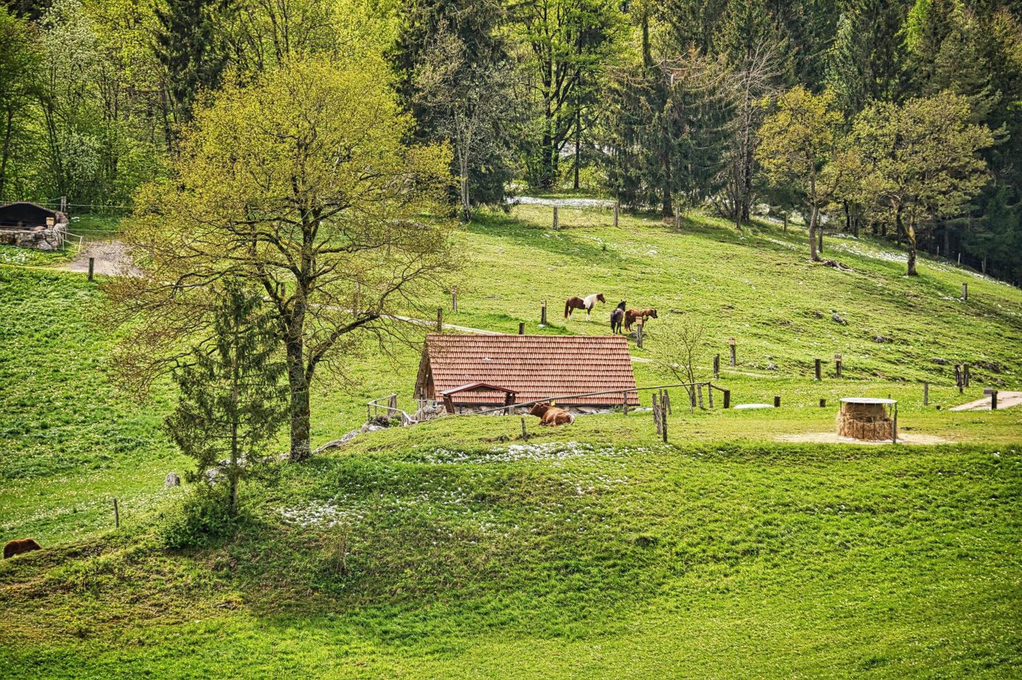 Farm Stay Ana Visnja Gora Exterior foto