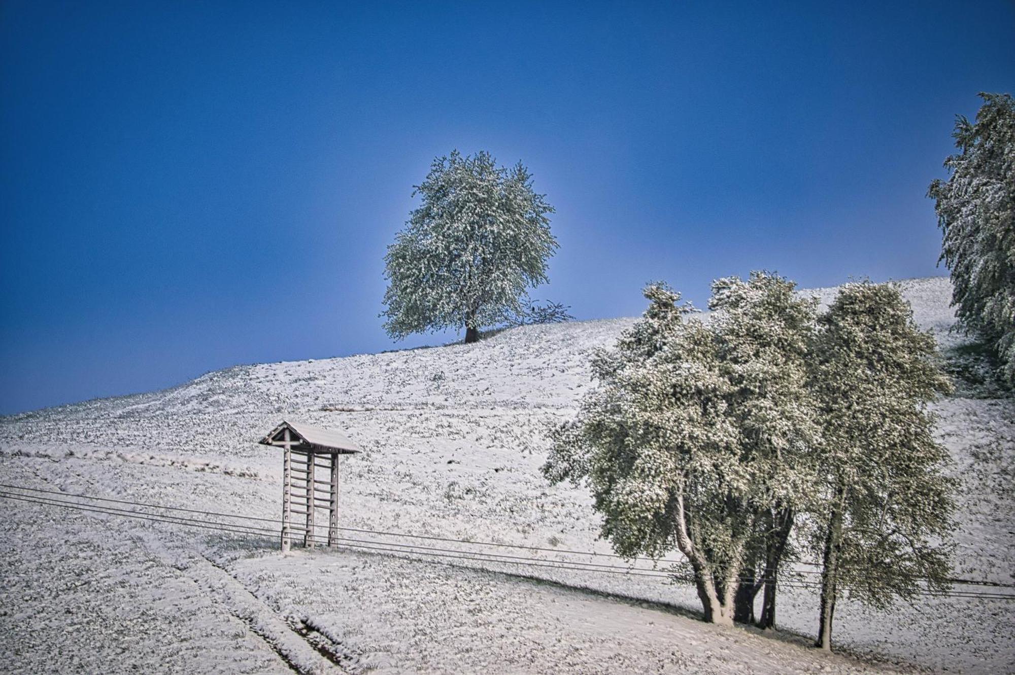 Farm Stay Ana Visnja Gora Exterior foto