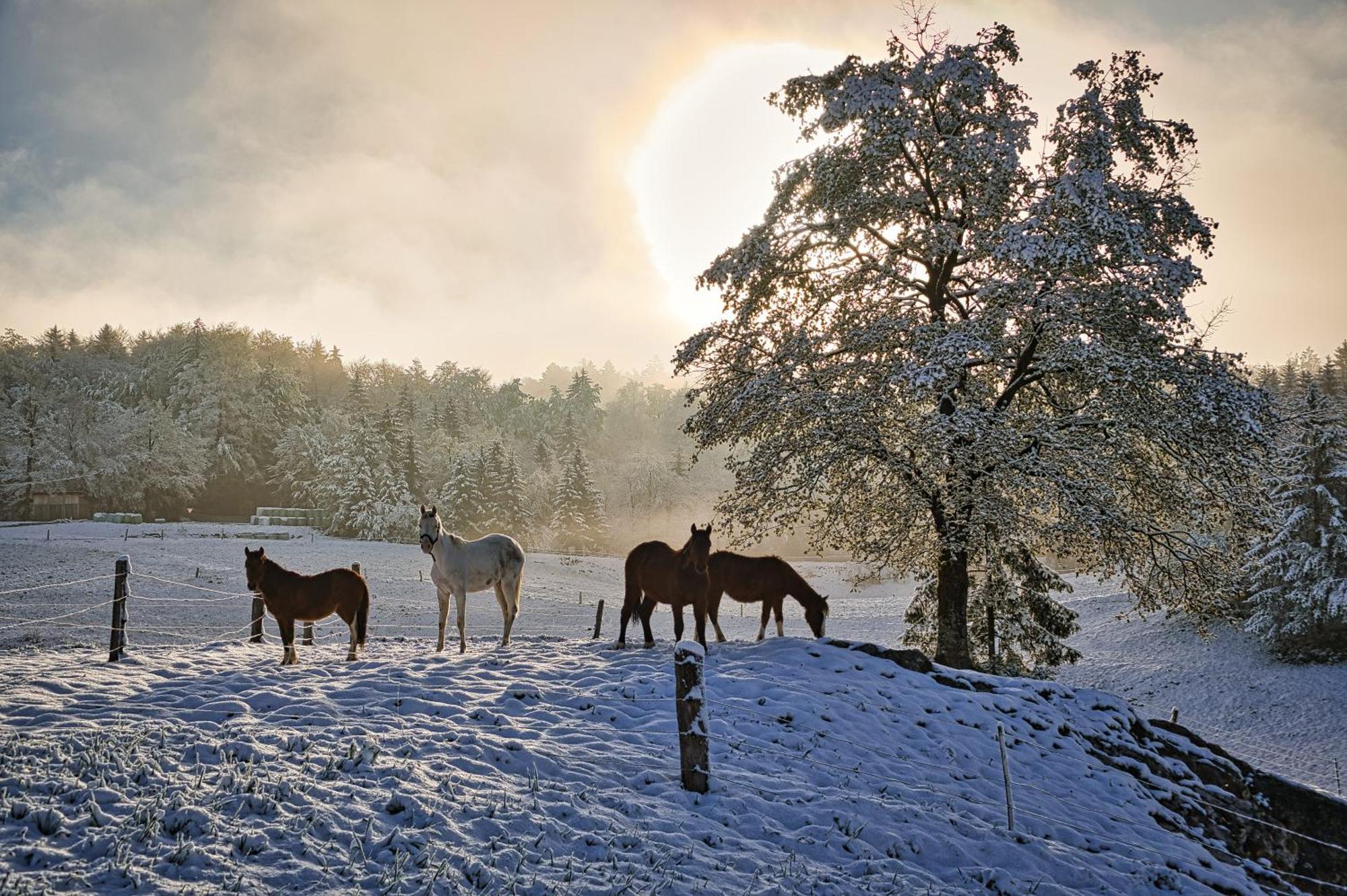 Farm Stay Ana Visnja Gora Exterior foto