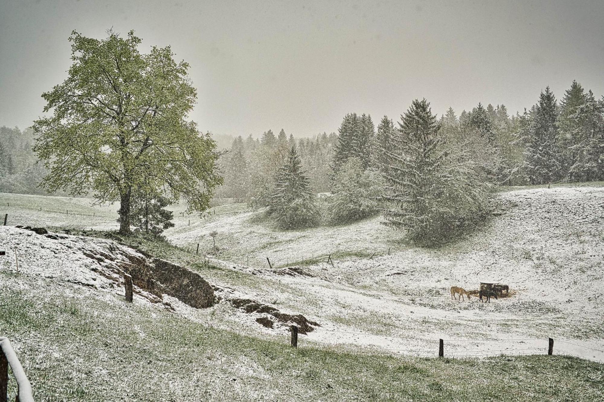 Farm Stay Ana Visnja Gora Exterior foto