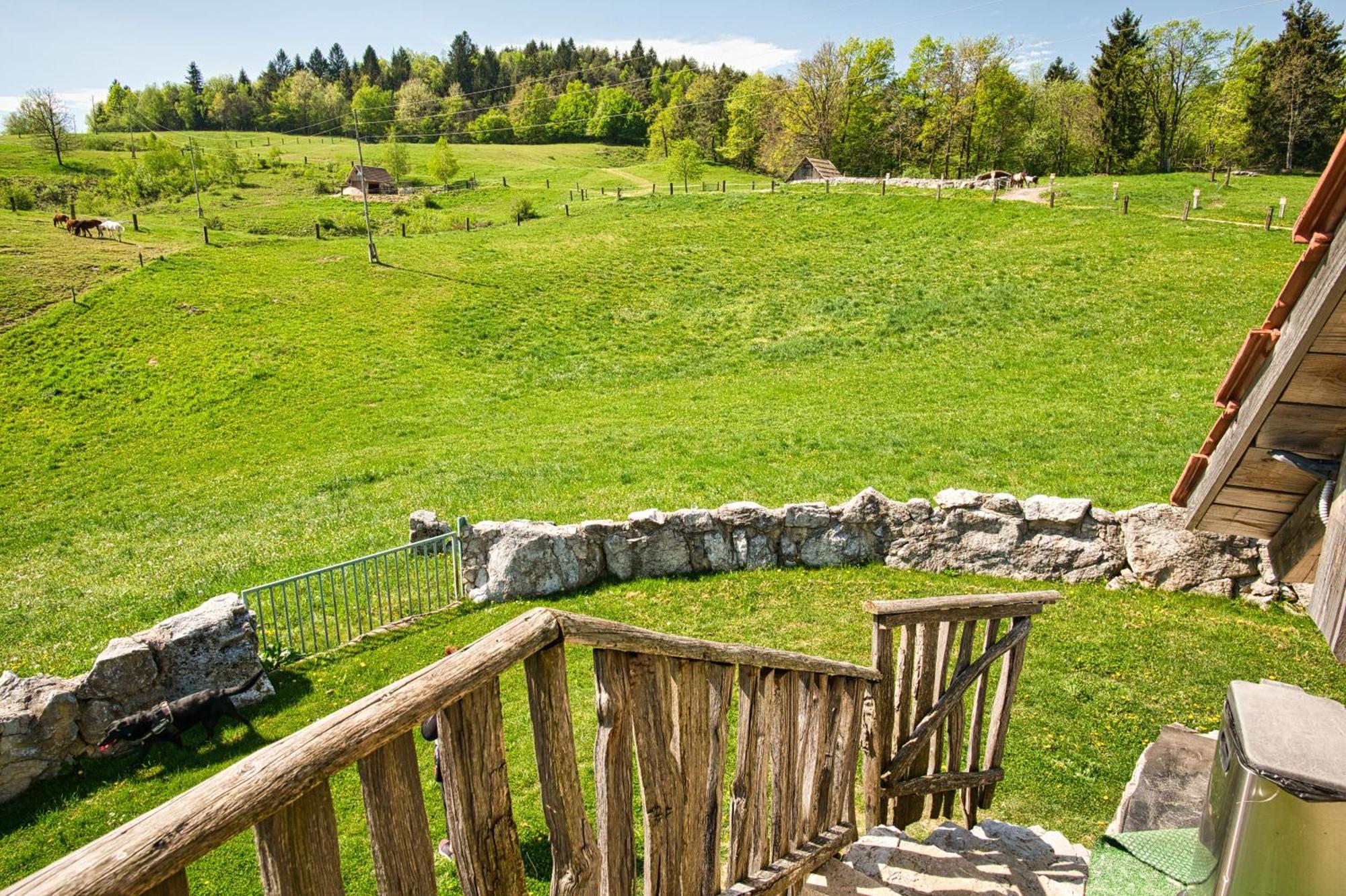 Farm Stay Ana Visnja Gora Exterior foto