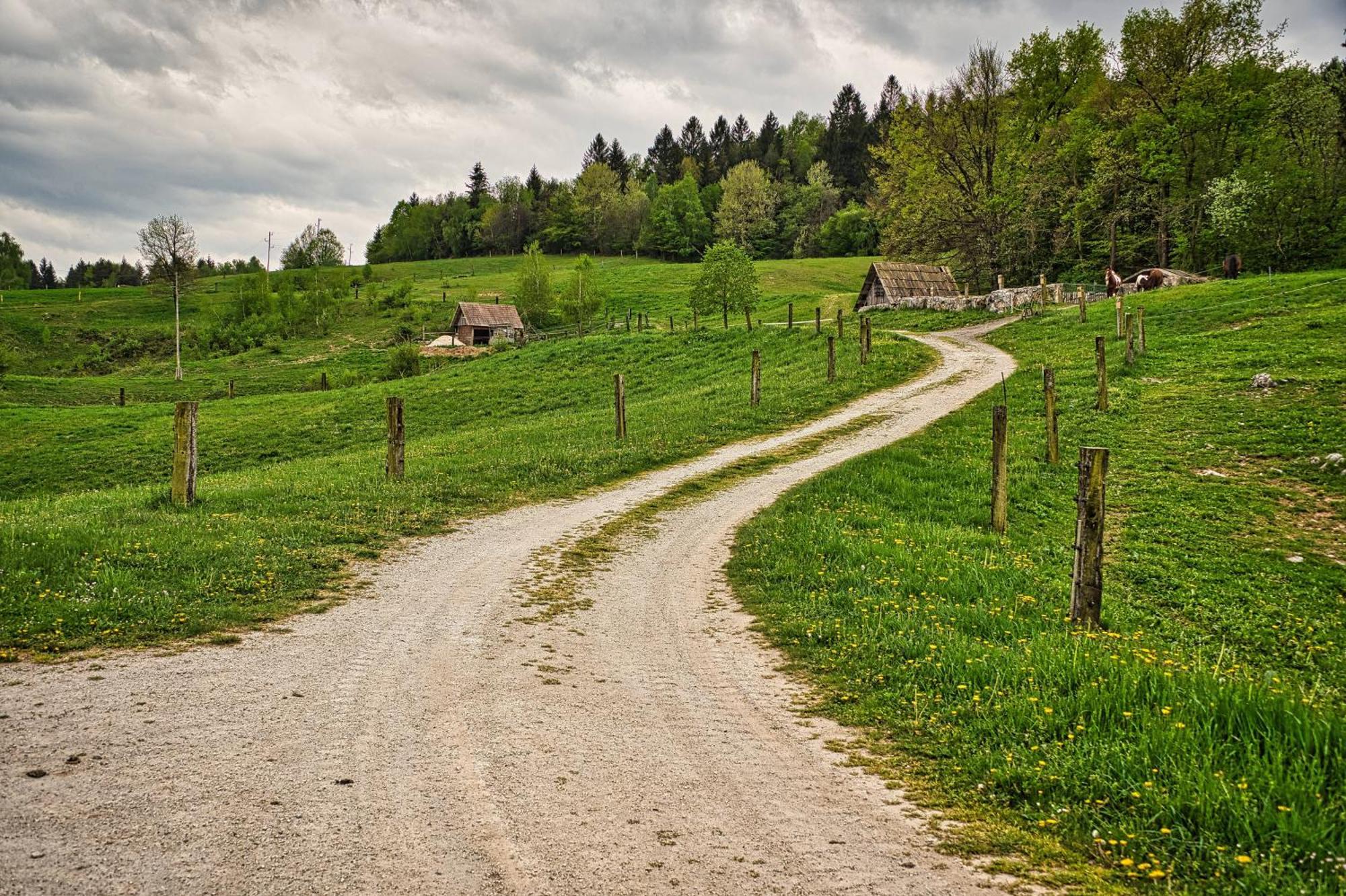 Farm Stay Ana Visnja Gora Exterior foto