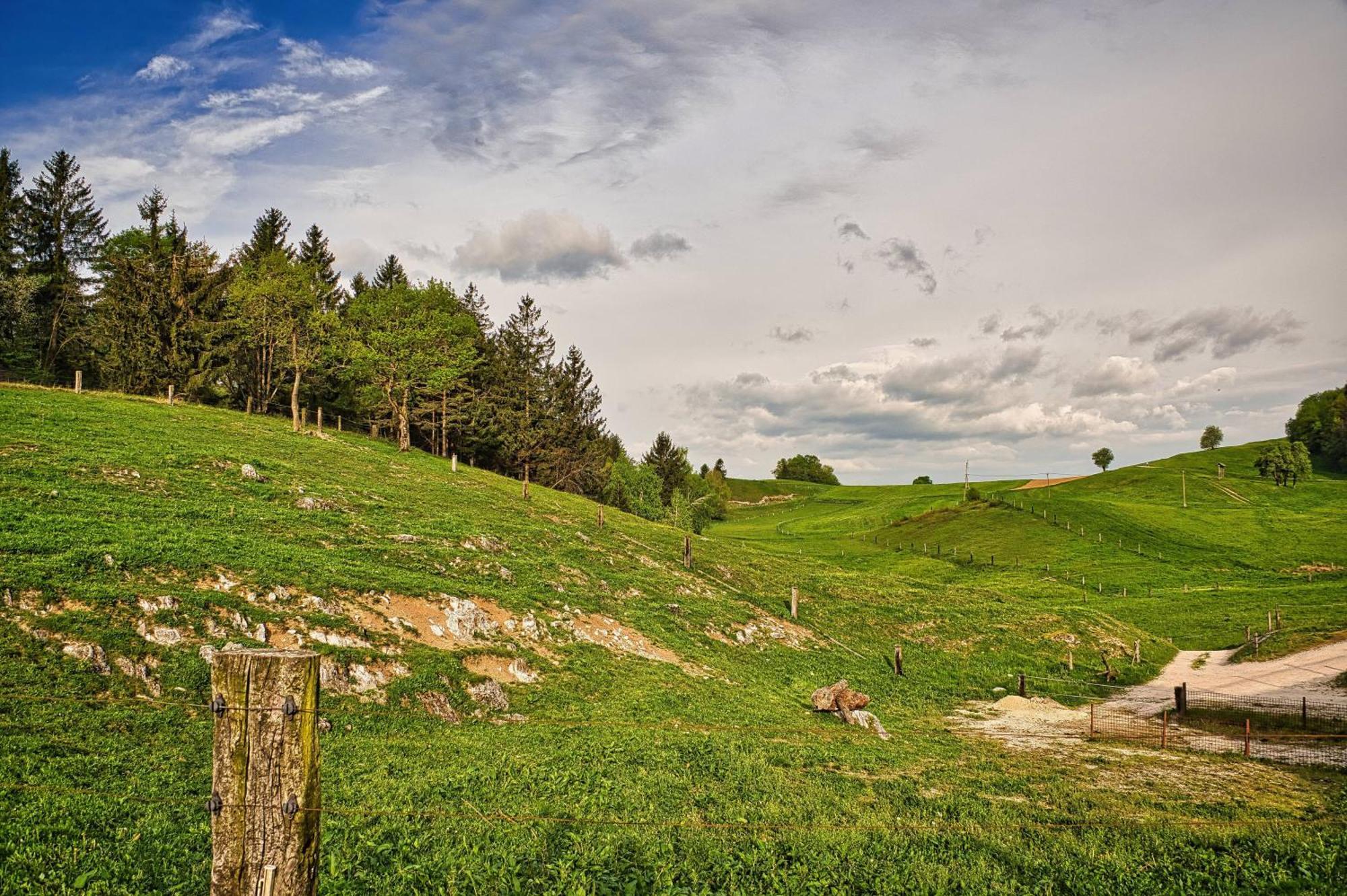 Farm Stay Ana Visnja Gora Exterior foto