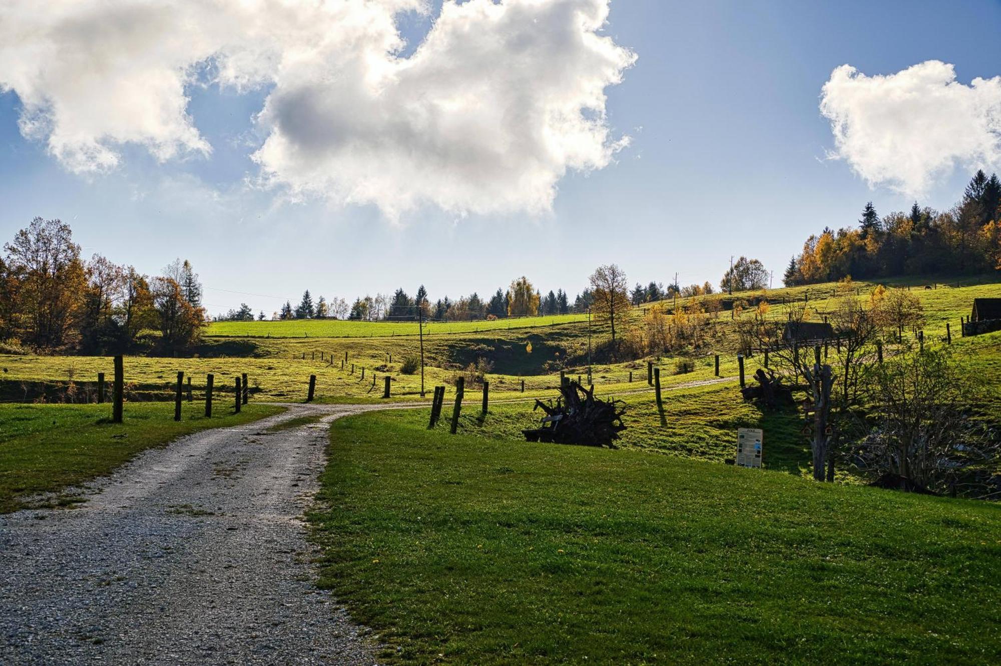 Farm Stay Ana Visnja Gora Exterior foto