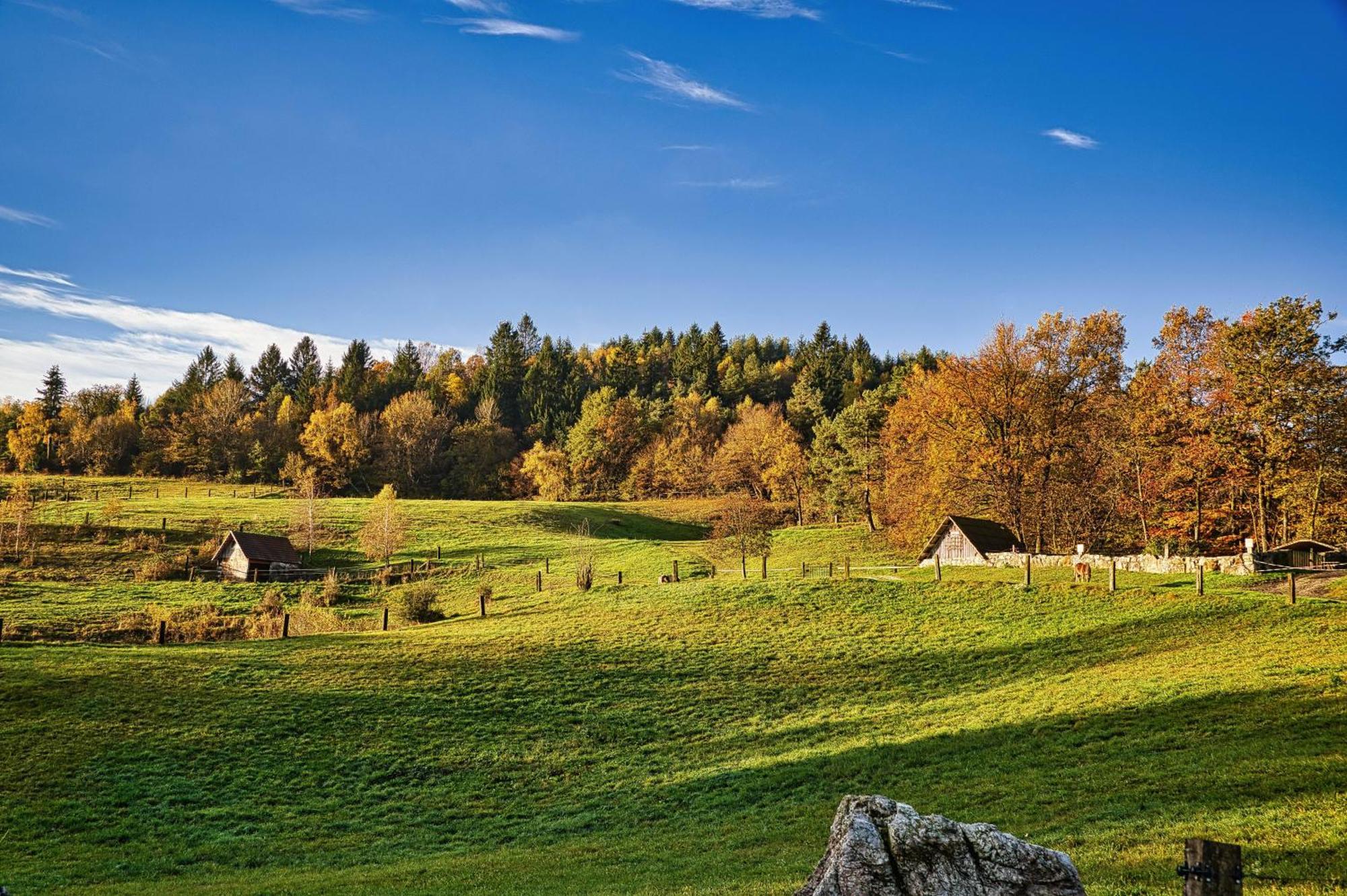 Farm Stay Ana Visnja Gora Exterior foto