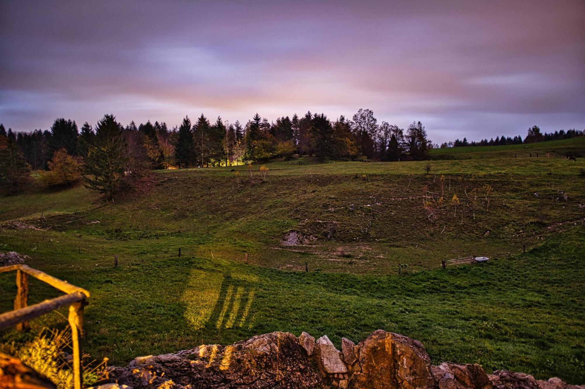 Farm Stay Ana Visnja Gora Exterior foto