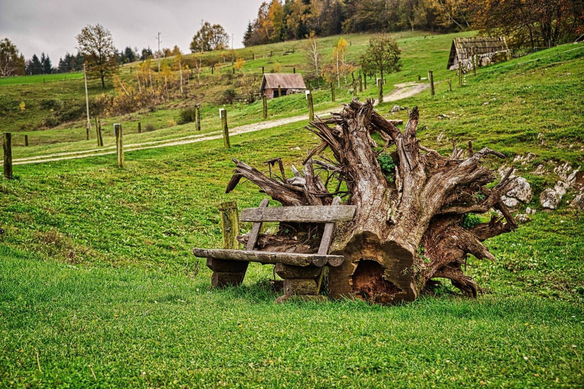 Farm Stay Ana Visnja Gora Exterior foto